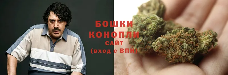 Конопля White Widow  купить  цена  Бирск 